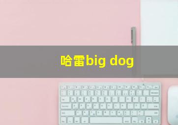 哈雷big dog